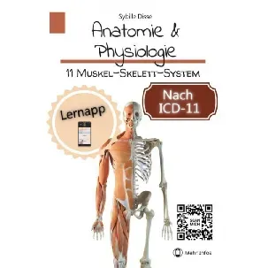 Afbeelding van Anatomie & Physiologie - 11: Muskel-Skelett-System - Sybille Disse
