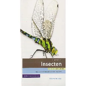 Afbeelding van 1-2-3 natuurgidsen - Insecten