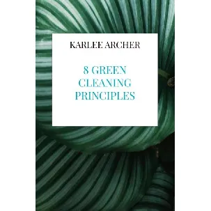 Afbeelding van 8 Green Cleaning Principles - Karlee Archer