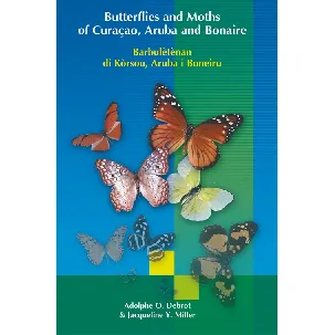 Afbeelding van Butterflies and Moths of Curacao, Aruba and Bonaire - Adolphe O. Debrot, Jacqueline Y. Miller