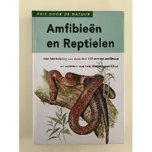 Afbeelding van AmfibieÃ«n en Reptielen