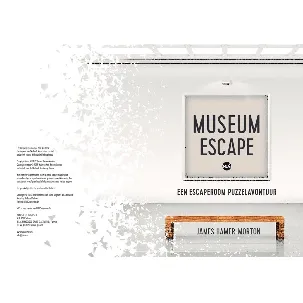 Afbeelding van Museum Escape