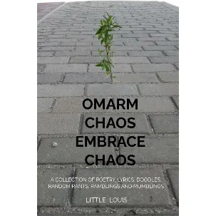 Afbeelding van Omarm Chaos - Embrace Chaos