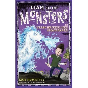 Afbeelding van Liam en de monsters - Het verschrikkelijke spookpaard