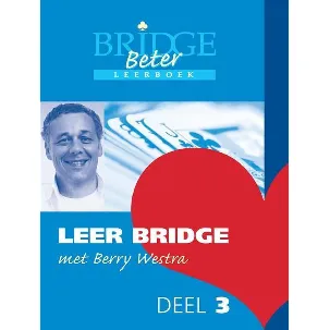 Afbeelding van Leer bridge met Berry 3