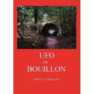 Afbeelding van UFO in bouillon