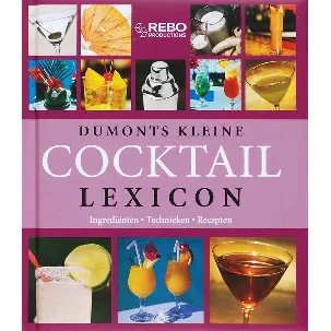 Afbeelding van Dumonts Kleine Cocktails Lexicon