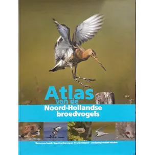 Afbeelding van Atlas van de Noord-Hollandse broedvogels