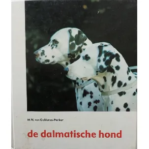 Afbeelding van Dalmatische hond