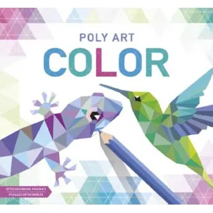 Afbeelding van Poly Art Color