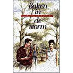 Afbeelding van Baken in de storm