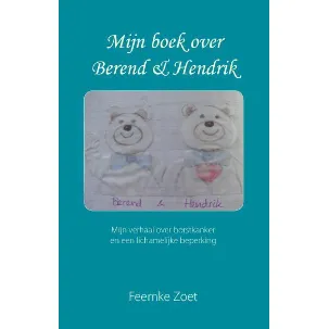 Afbeelding van Mijn boek over Berend en Hendrik