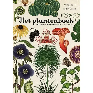 Afbeelding van Het plantenboek