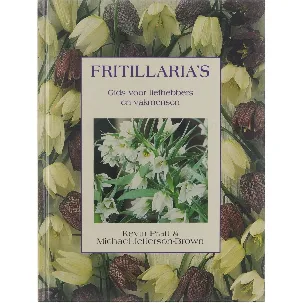 Afbeelding van Fritillaria's
