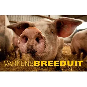 Afbeelding van Breeduit - Varkens Breeduit