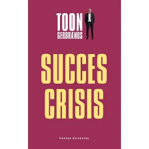 Afbeelding van De succescrisis