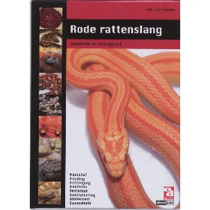 Afbeelding van Over Dieren - Rode rattenslang