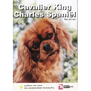 Afbeelding van Over Dieren - Cavalier King Charles spaniël