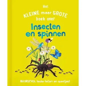 Afbeelding van Het kleine maar grote boek over insecten en spinnen