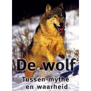 Afbeelding van Wolf, De - Tussen Mythe En Waarheid
