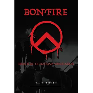 Afbeelding van Bonfire, onder de schaduw van Icarus