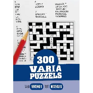 Afbeelding van 300 varia puzzels