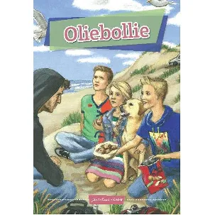 Afbeelding van Oliebolie