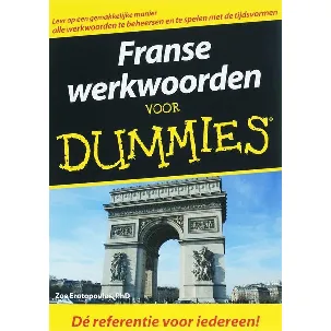 Afbeelding van Voor Dummies - Franse werkwoorden voor Dummies