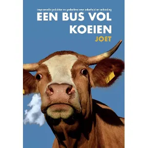 Afbeelding van Een bus vol koeien