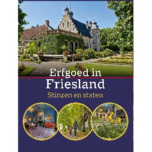 Afbeelding van Erfgoed in Friesland. Stinzen en staten