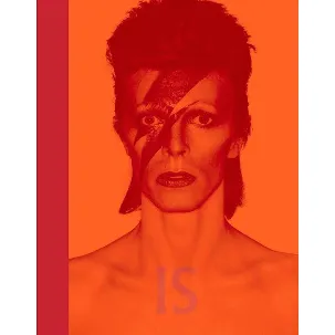Afbeelding van David Bowie IS
