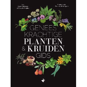 Afbeelding van Geneeskrachtige planten- & kruidengids