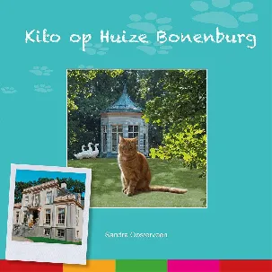 Afbeelding van Kito op Huize Bonenburg