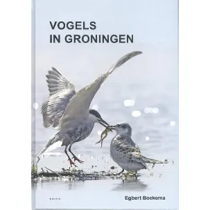 Afbeelding van Vogels in Groningen