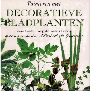 Afbeelding van Tuinieren met decoratieve bladplanten