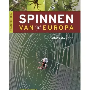 Afbeelding van Tirion natuur - Spinnen van Europa