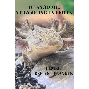 Afbeelding van De axolotl, verzorging en feiten