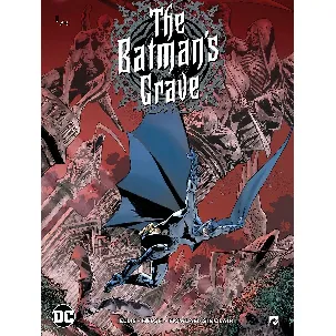 Afbeelding van Batman 01. the batman's grave (1/4)
