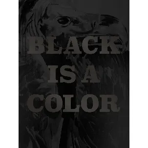 Afbeelding van Klaus Verscheure - Black is a color