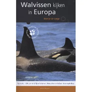 Afbeelding van Wildernis dichtbij - Walvissen kijken in Europa