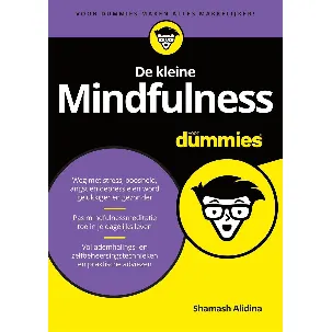 Afbeelding van Voor Dummies - De kleine mindfulness voor dummies