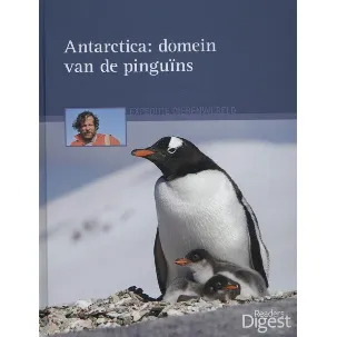 Afbeelding van Antarctica domein van de pinguins