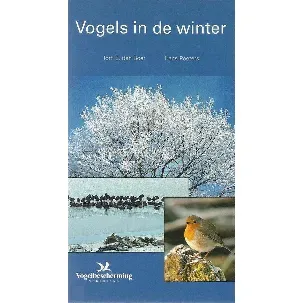 Afbeelding van Vogels in de winter