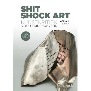Afbeelding van Shit Shock Art