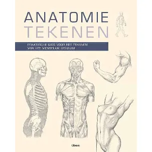 Afbeelding van Anatomie Tekenen