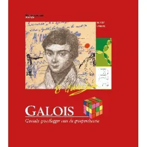 Afbeelding van Galois. Geniale grondlegger van de groepentheorie