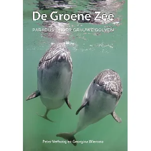 Afbeelding van De Groene Zee - paradijs onder grauwe golven