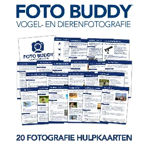 Afbeelding van Foto Buddy - Vogel- en Dierenfotografie - 20 Fotografie Hulpkaarten - Iedere situatie de baas!