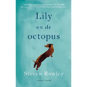 Afbeelding van Lily en de octopus