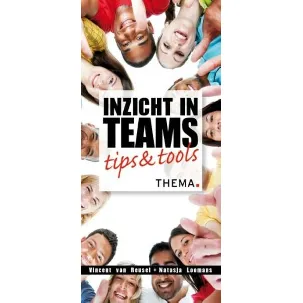 Afbeelding van Inzicht in teams